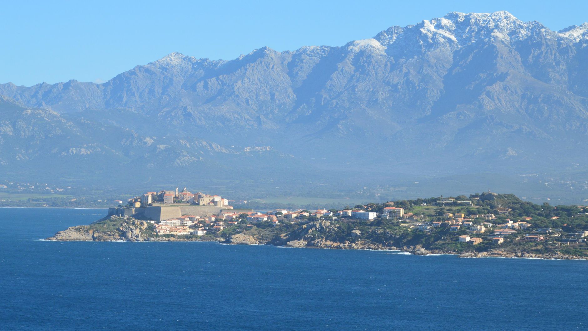 Drapeau de la Corse avec la tête de Maure sur fond blanc