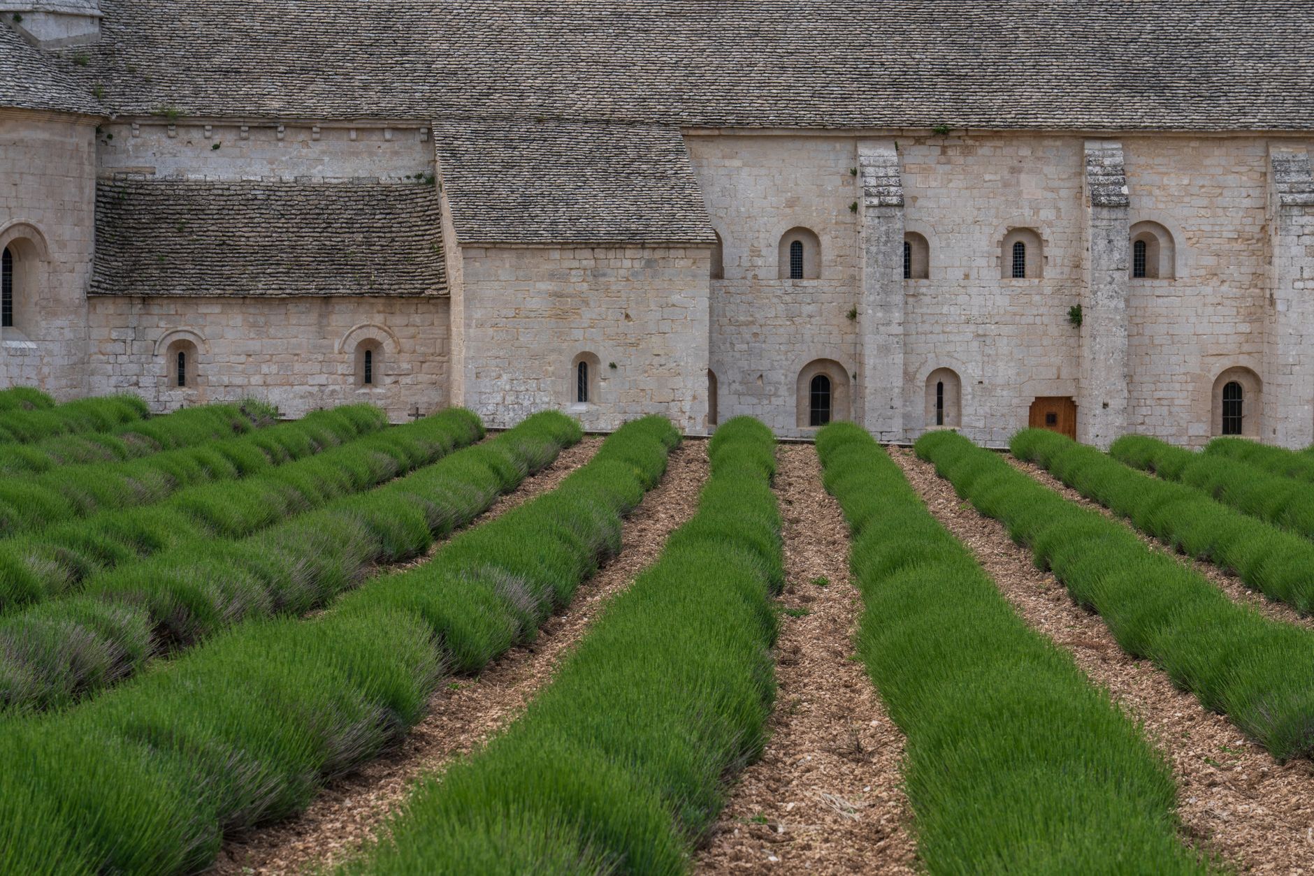 Ferme traditionnelle en pierre sèche sur le plateau du Causse en Aveyron