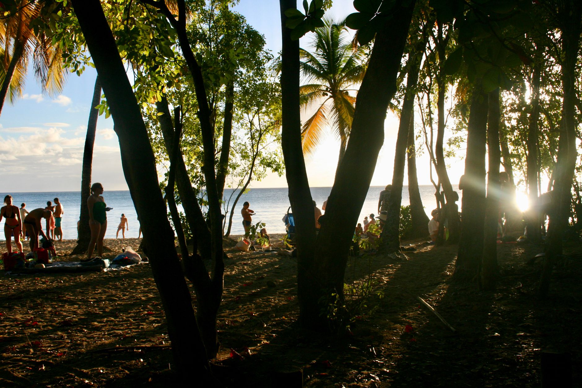 Paysage de la Martinique avec mer turquoise et végétation tropicale