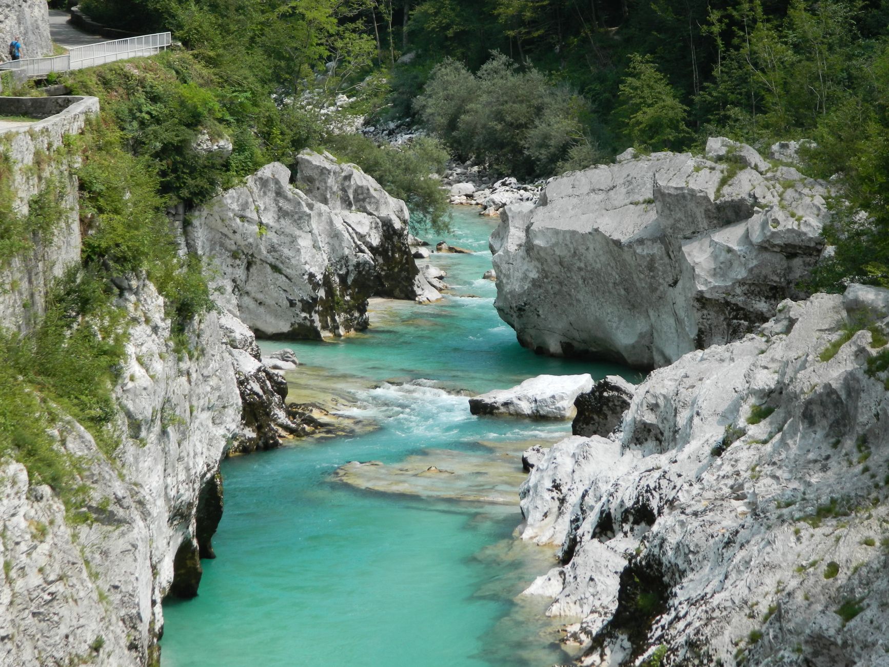 Passerelle en bois dans les Gorges de Vintgar près de Bled en Slovénie